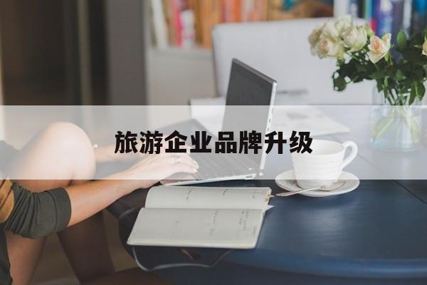 铜仁市旅游企业品牌升级(旅游企业品牌升级措施)