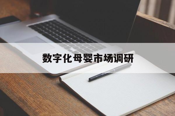 铜仁市数字化母婴市场调研(数字化母婴市场调研报告)